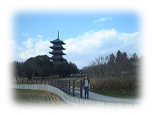 絶景です！
