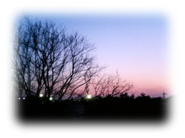 神秘的な空♪ 神秘的な空♪