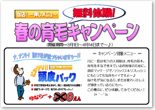 春の育毛キャンペーン