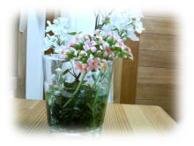 庭の花を。。。ﾟ･*:.｡. .｡.:*･゜