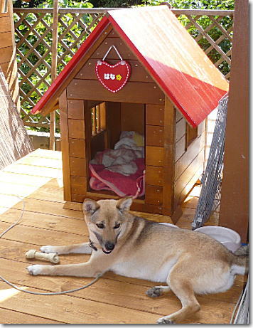 My HOME で一休み♪ My HOME で一休み♪