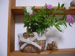 きれい