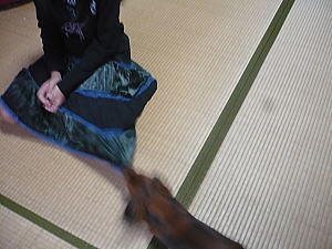 遊んでよぉ━━━━ヽU゚∀゚Uノ━━━━!!!!
