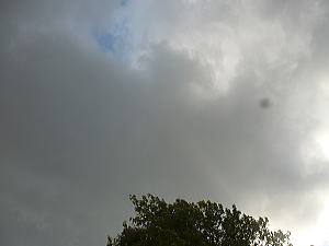 雨降りそう。。。