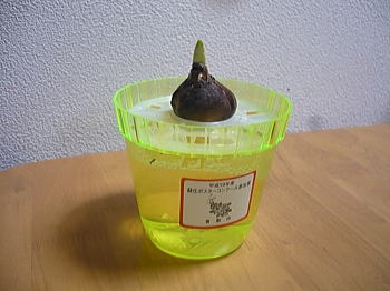 セット完了～♪