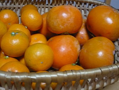 今年初めての「柿」