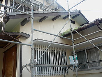 完成も間近かな~~ 完成も間近かな~~
