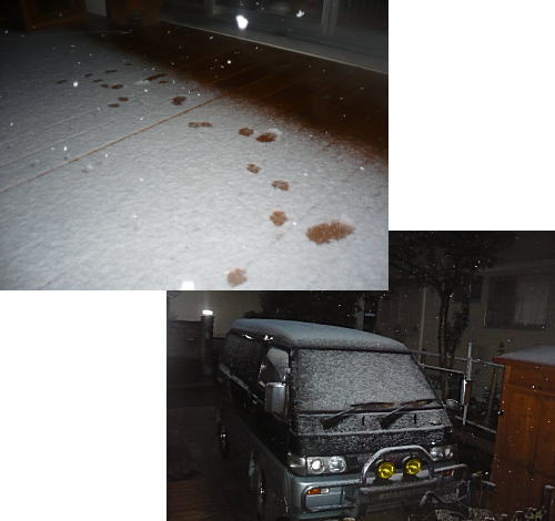 薄っすらと積雪が・・・