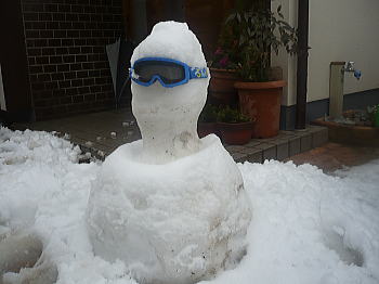 ちょいと不気味では・・・Σ(・ε・;)