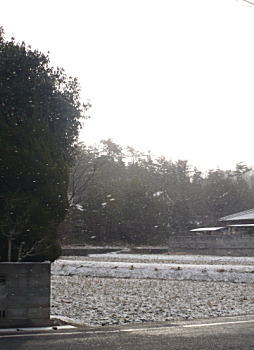 雪景色も何度目かな・・・