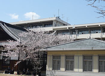 桜舞う学び舎♪ 桜舞う学び舎♪