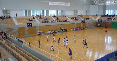 高等学校ハンドボール選手権・中国大会 高等学校ハンドボール選手権・中国大会
