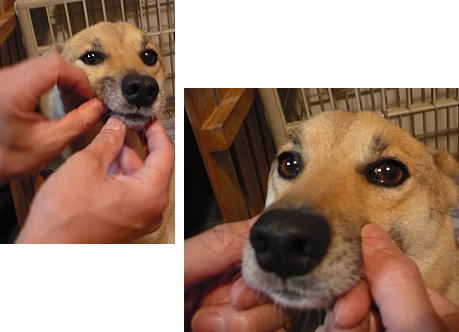 出しちゃダメっ！！