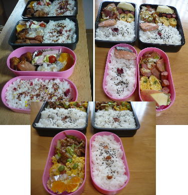 愛情弁当~^^ 愛情弁当~^^