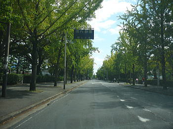 岡山大学キャンバス