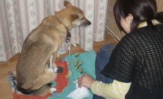 怒んないでぇ(´ﾍ｀；)