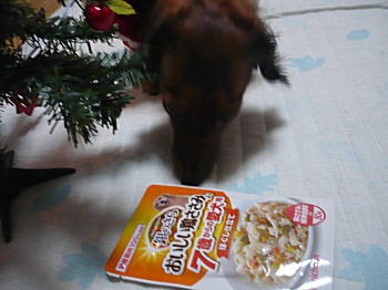 食べたいワン! 食べたいワン!