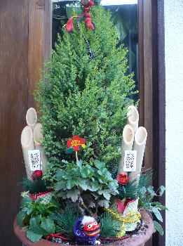 玄関先の鉢植え