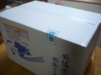 今度はナニナニ・・・(｀Д´≡｀Д´)??