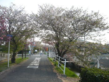 茶屋町の遊歩道 茶屋町の遊歩道