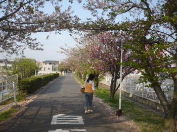一緒にお散歩♪ 一緒にお散歩♪