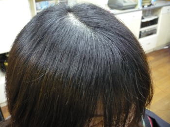 前回から半年は経ってるかな・・・ 前回から半年は経ってるかな・・・