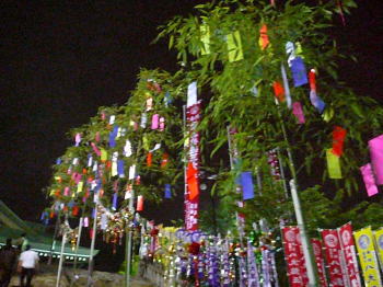 七夕飾りがいっぱ～い♪