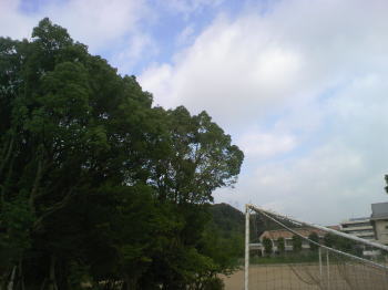 お天気良好♪ お天気良好♪