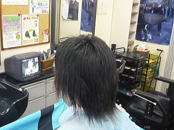 もうボリュームが・・・ もうボリュームが・・・