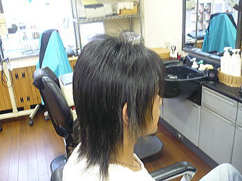 小っちゃくなっちゃった! 小っちゃくなっちゃった!
