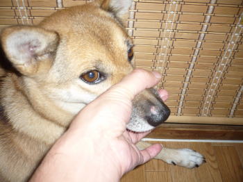 あらら・・・