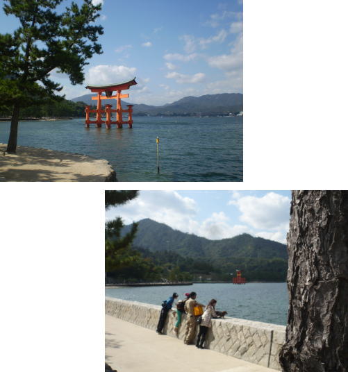 鳥居が見えてきた・・・！