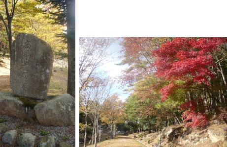 高梁自然公園 高梁自然公園