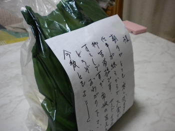つД`)・゚・。・゚゚・*:.。..。.:*・゚ つД`)・゚・。・゚゚・*:.。..。.:*・゚