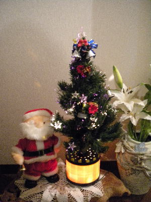 Merry Christmas♪ Merry X’mas♪