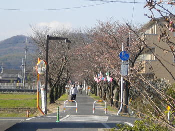 満開が楽しみじゃ!!^^