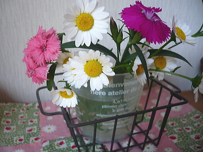 お庭の花♪