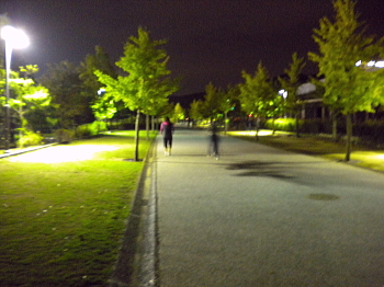 内週は約1.5km・・・