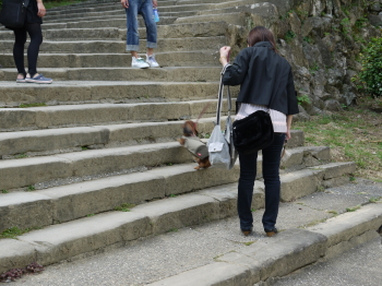 頑張れキキっ・・・!^^;