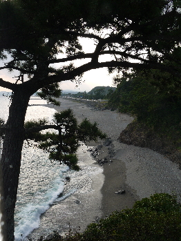 ずっと続いてるのね。