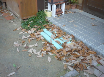 また~ッ!( ´Д`)=3