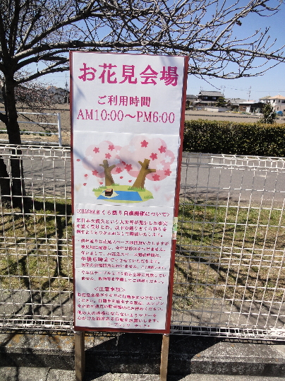 今年の夜は、自粛の様です。