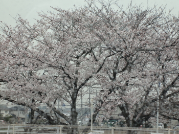 雨かっ・・・!