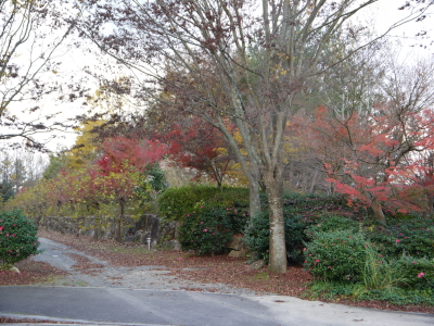 遊歩道・・・