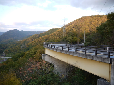 紅葉も、もう終わりか・・・?