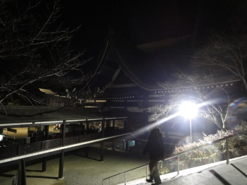 階段にも・・・