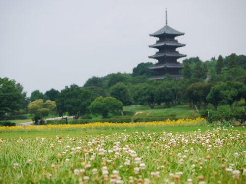 夏の国分寺観光♪