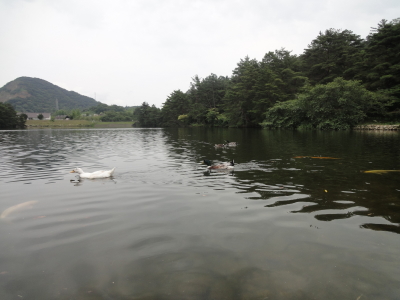 撮影ドライブ･･･　「玉野市深山公園」編^^;