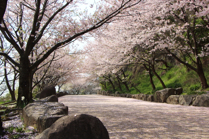 亀島山公園 初登頂！^^;