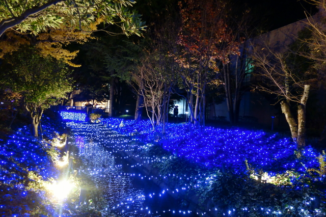 倉敷アリオ・未来公園のイルミ！^^